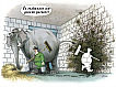 Cartoon n� 32