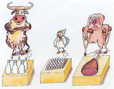Cartoon n� 101