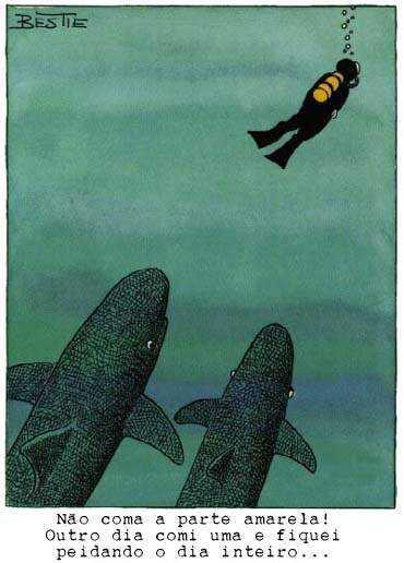 Cartoon n� 141