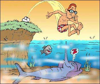 Cartoon n� 229