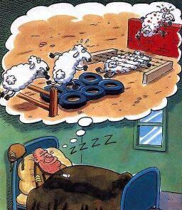 Cartoon n� 23