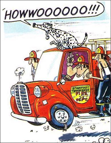 Cartoon n� 245