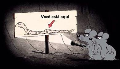 Cartoon n� 3