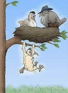 Cartoon n� 49