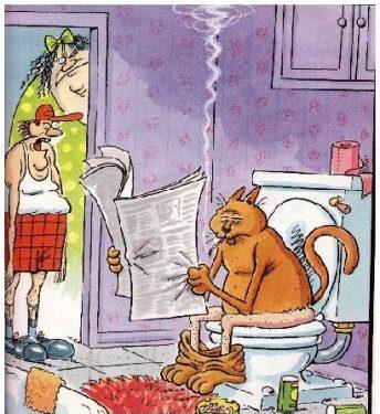 Cartoon n� 53